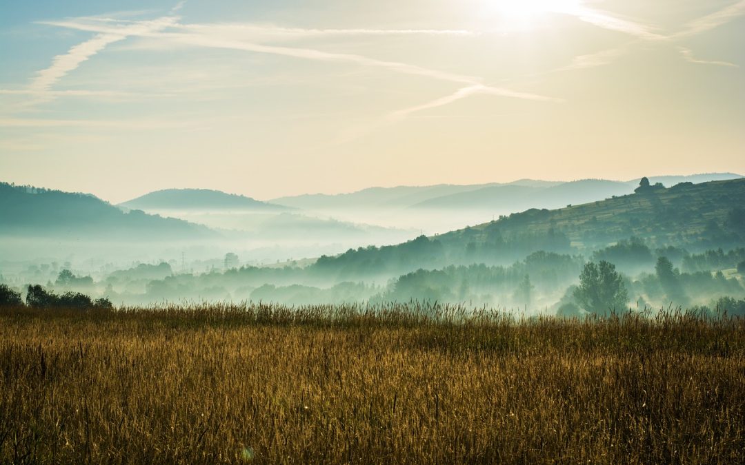 Żywiec co warto zobaczyć – Nie tylko piwo! Odkrywamy sekrety miasta Habsburgów